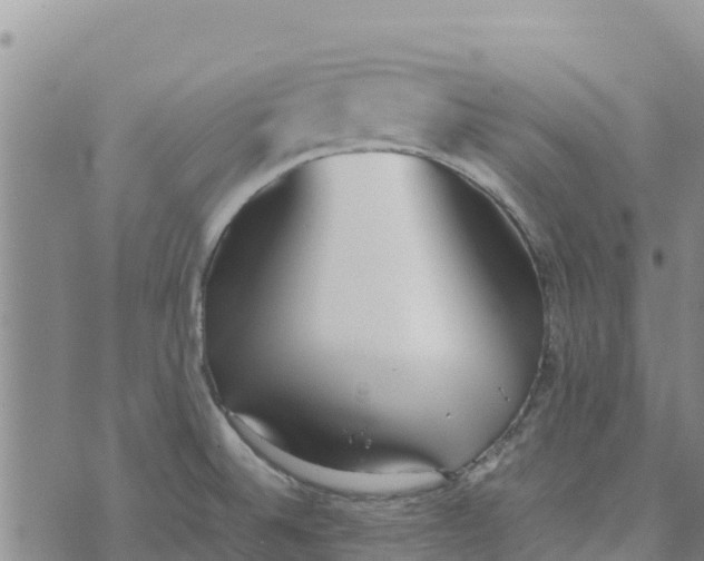 X0000072531524200608041544