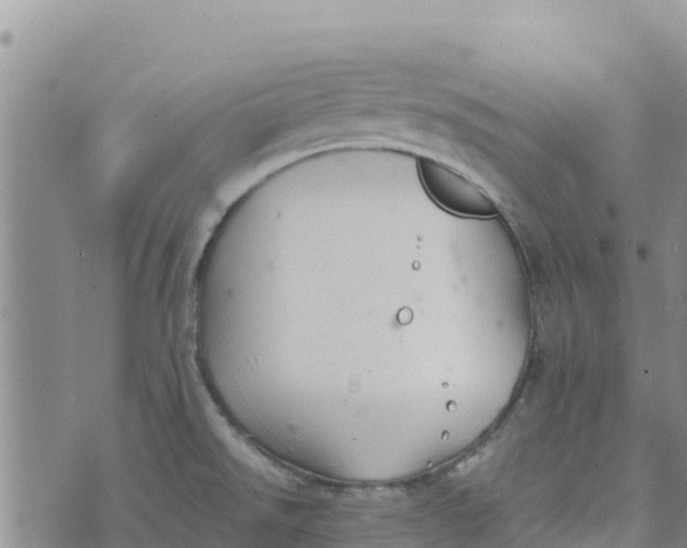 X0000072531526200608041544