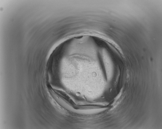 X0000072531530200608041544