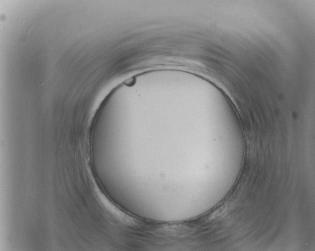 X0000072531531200608041544