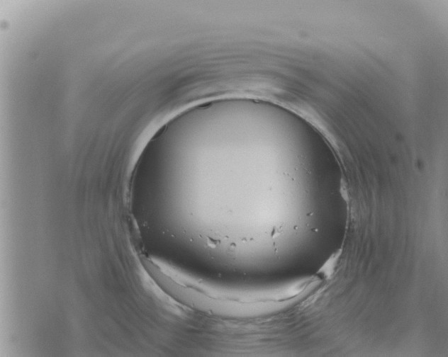 X0000072531532200608041544