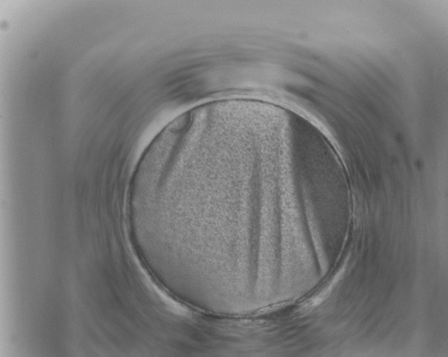 X0000072531533200608041544