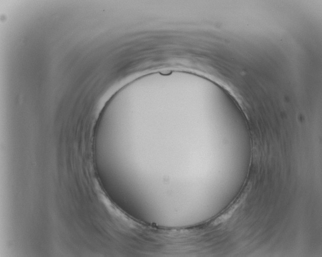 X0000072531534200608041544