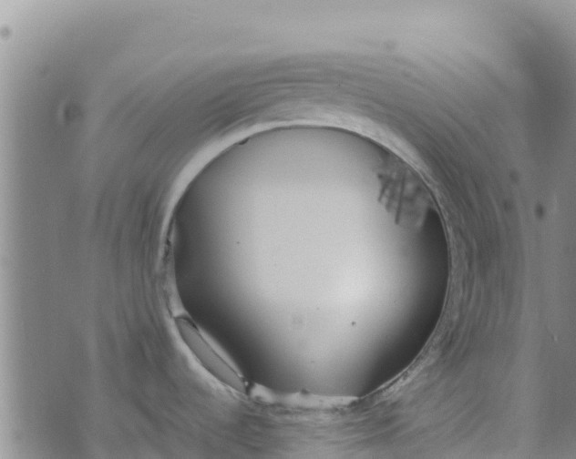 X0000072531536200608041544