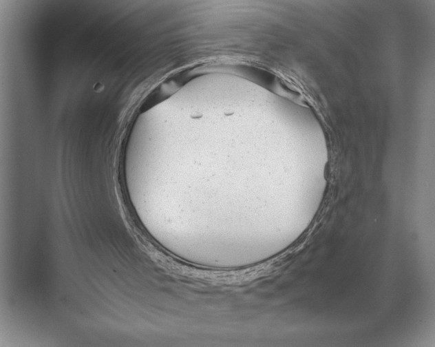 X0000072530001200608111758