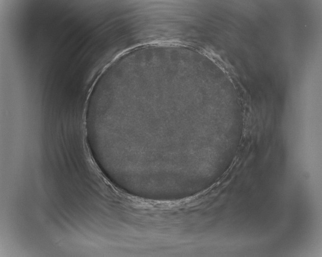 X0000072530002200608111758