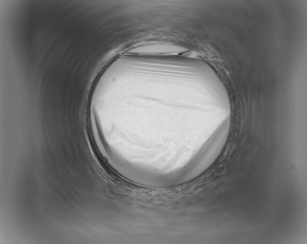 X0000072530003200608111758