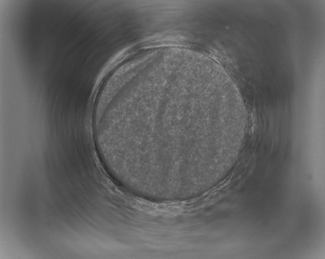 X0000072530004200608111758