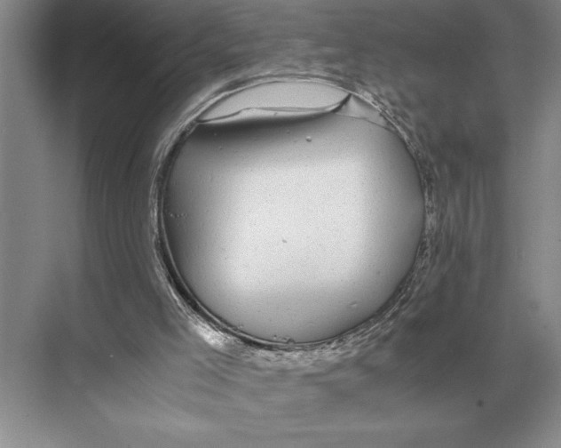 X0000072530005200608111758