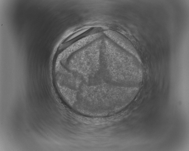 X0000072530006200608111758