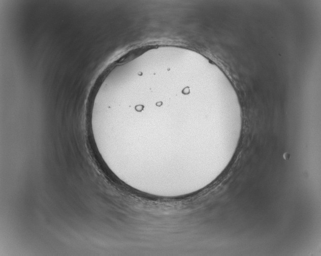 X0000072530008200608111758