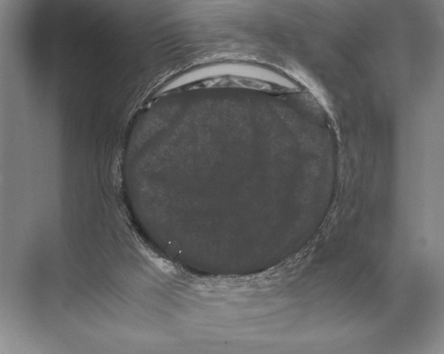 X0000072530009200608111758