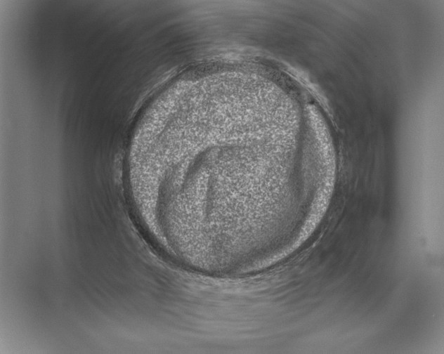 X0000072530010200608111758