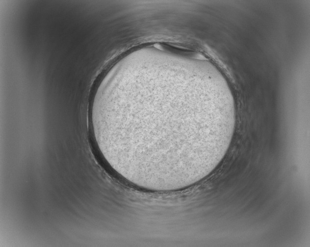 X0000072530011200608111758