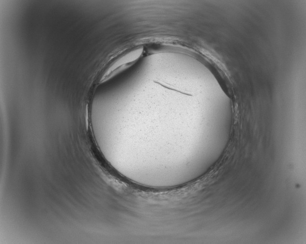 X0000072530013200608111758