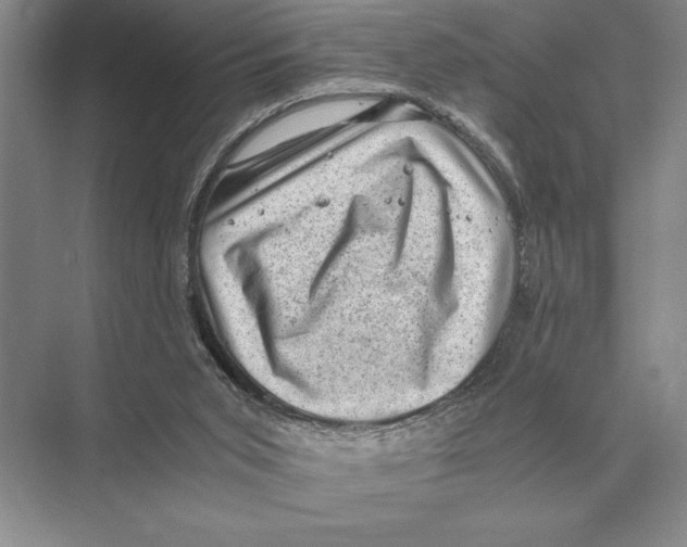 X0000072530015200608111758