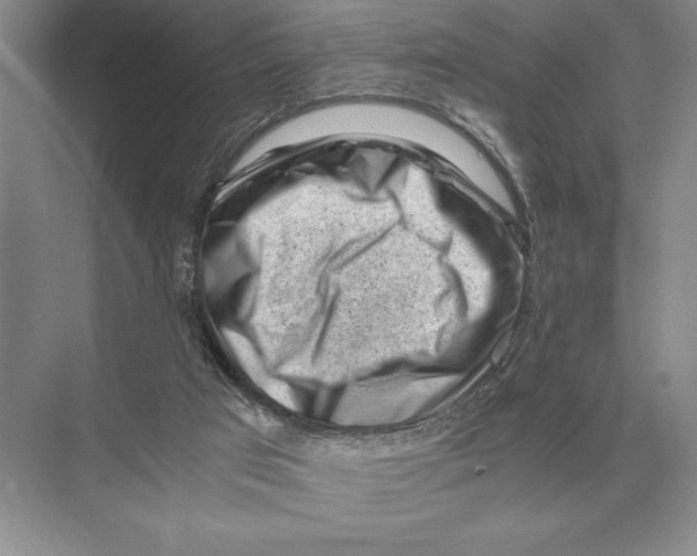 X0000072530017200608111758