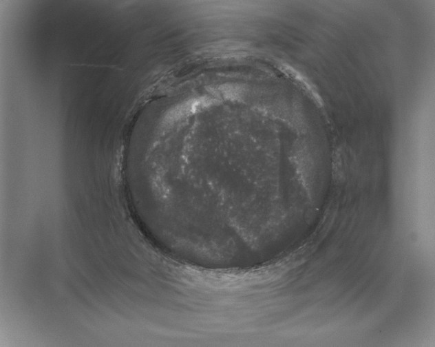 X0000072530018200608111758