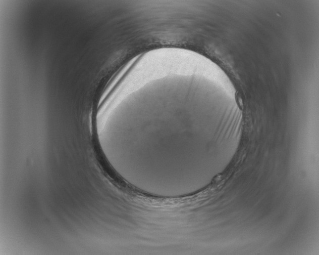 X0000072530019200608111758