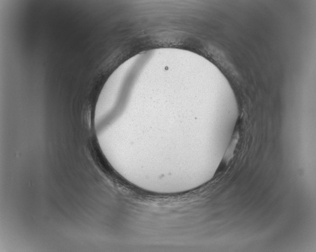 X0000072530021200608111758