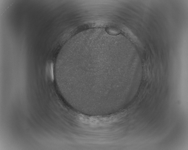 X0000072530022200608111758