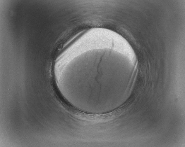 X0000072530023200608111758