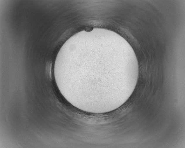 X0000072530024200608111758