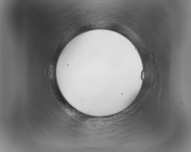 X0000072530025200608111758