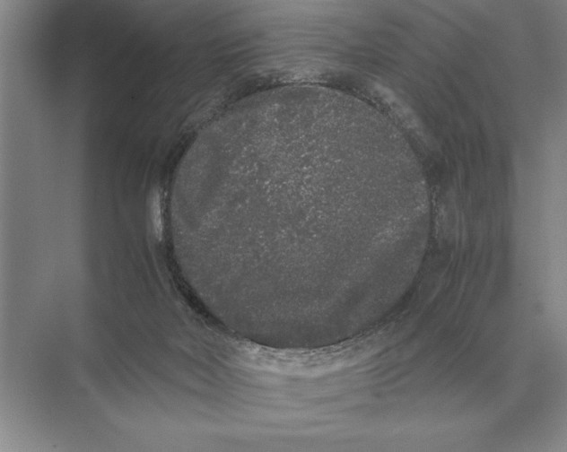 X0000072530026200608111758