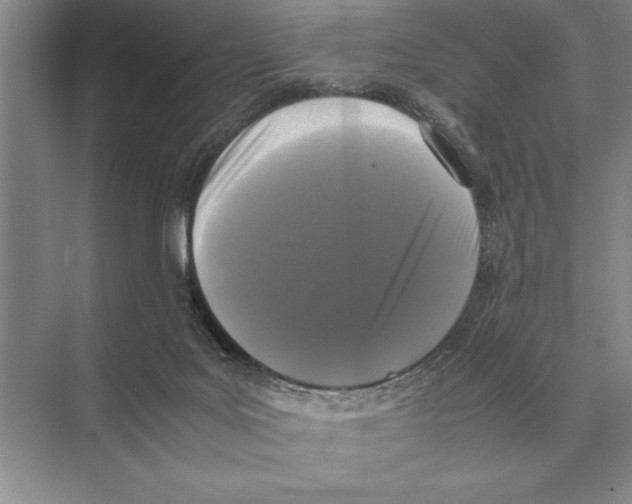 X0000072530027200608111758