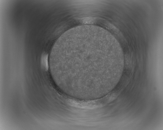 X0000072530028200608111758