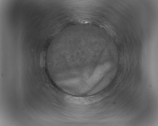 X0000072530030200608111758