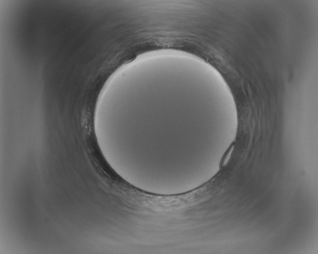 X0000072530031200608111758