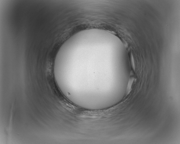 X0000072530033200608111758