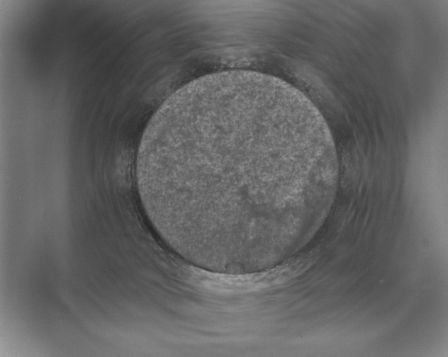 X0000072530034200608111758