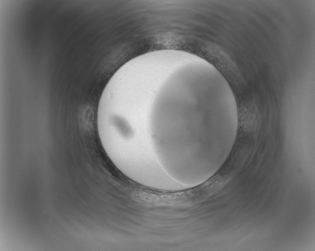 X0000072530036200608111758