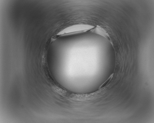 X0000072530037200608111758