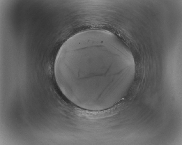 X0000072530039200608111758