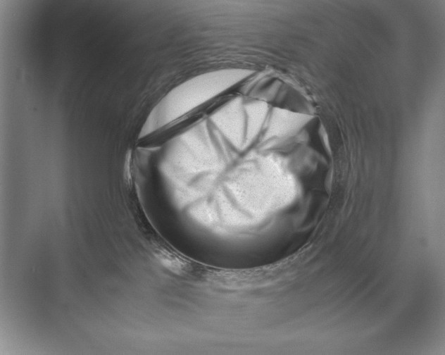 X0000072530041200608111757