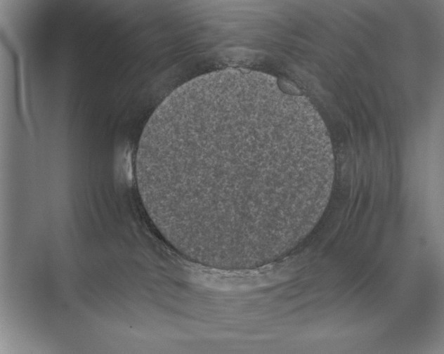 X0000072530042200608111757