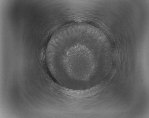 X0000072530043200608111757