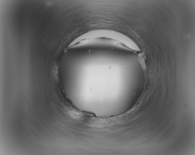 X0000072530045200608111757