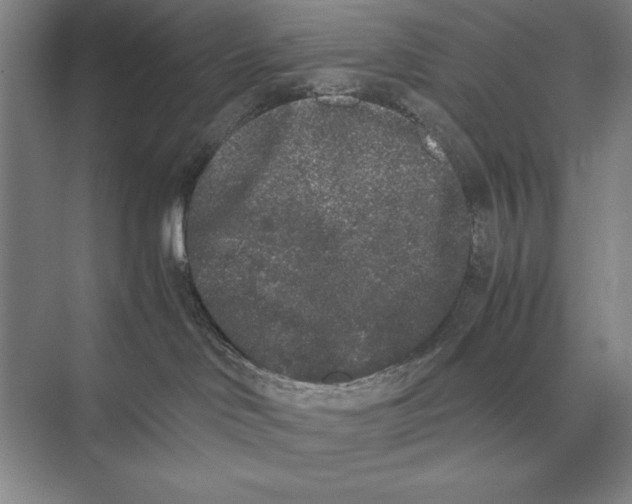 X0000072530046200608111757