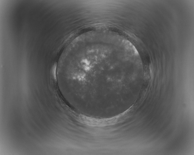 X0000072530047200608111757