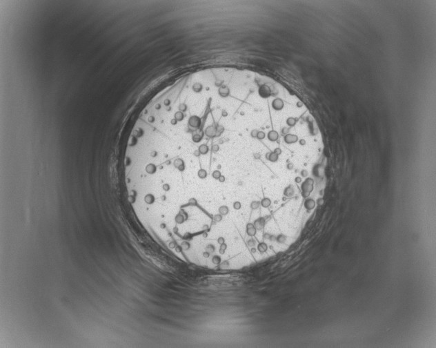 X0000072530050200608111757