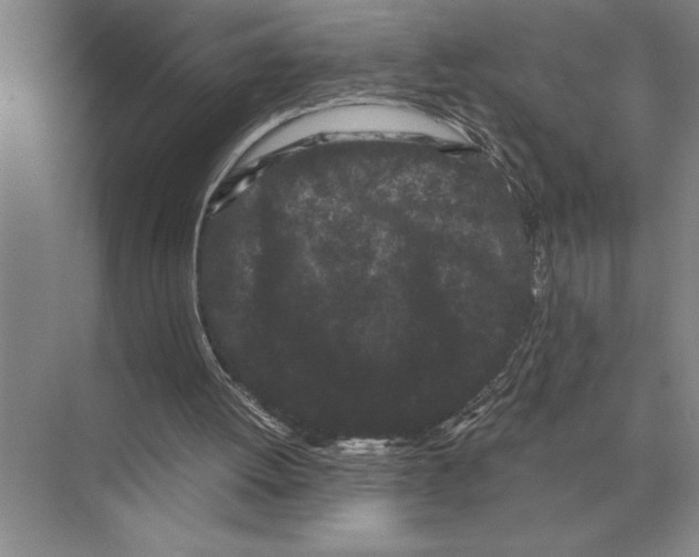 X0000072530052200608111757