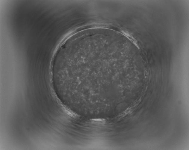 X0000072530053200608111757