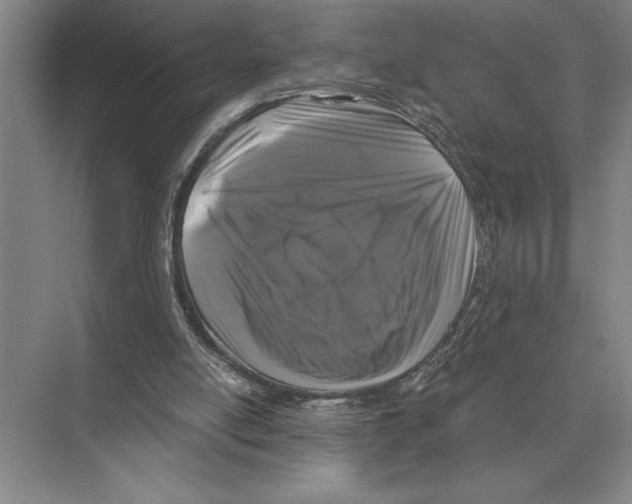 X0000072530054200608111757