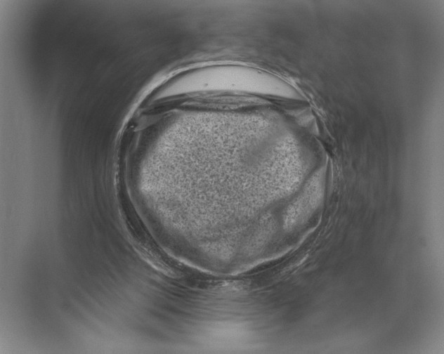 X0000072530056200608111757