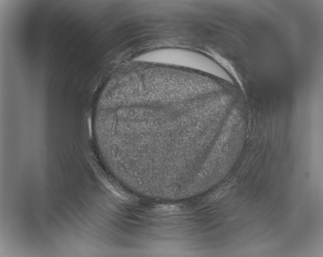 X0000072530061200608111757